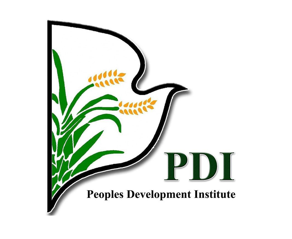 pdi logo new